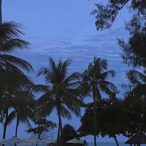 舞蹈班沟厕内偷拍系列33MAV
