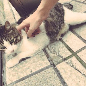 舞蹈班沟厕内偷拍系列33MAV
